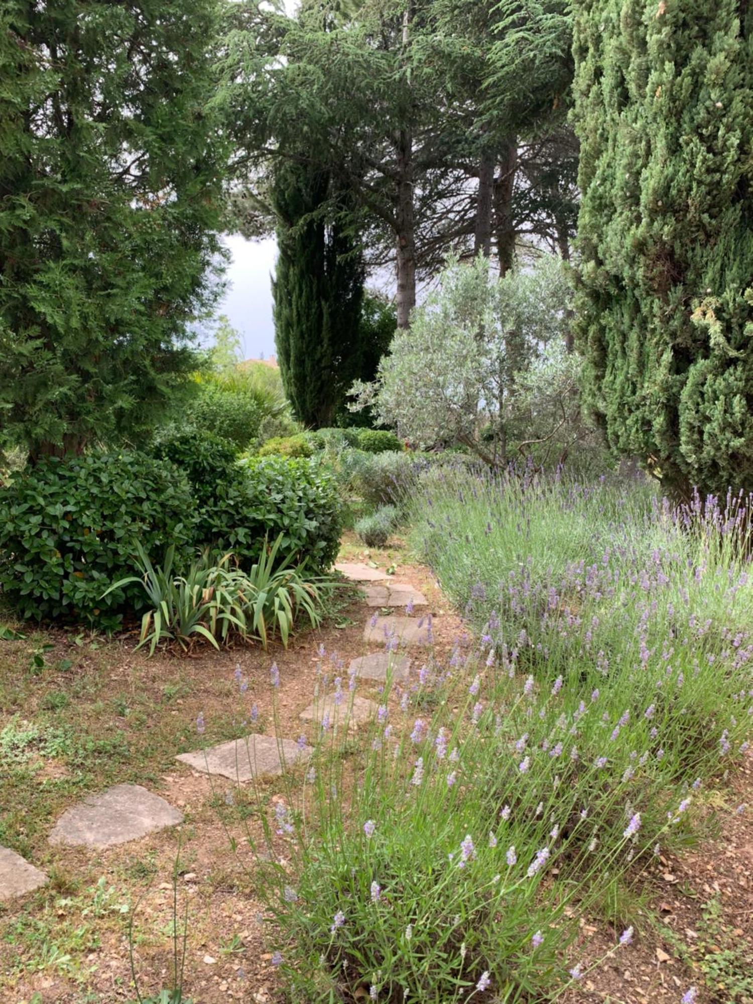 Villa Mazet Leajo à Eygalières Extérieur photo